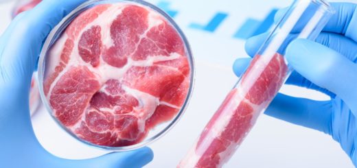 Czerwone mięso w badaniach