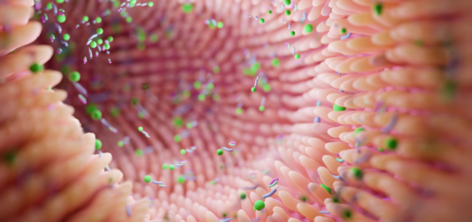 Zdjęcie pokazuje wnętrze ludzkiego jelita. Wyraźnie widać kosmki jelitowe, wśród których bytują dobroczynne mikroorganizmy i substancje. Mają one kolor zielony i pbrazują synbiotyki komplementarne.