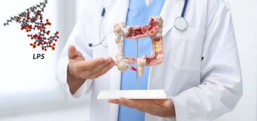 Lekarz trzymający model jelita grubego, obok wizualizacji cząsteczki lipopolisacharydu (LPS) jako markera szczelności bariery jelitowej.