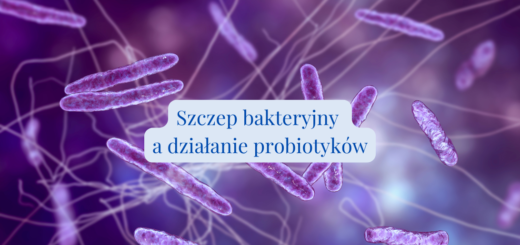 Bakterie widoczne w dużym powiększeniu. Podpis na zdjęciu: Szczep bakteryjny a działanie probiotyków.