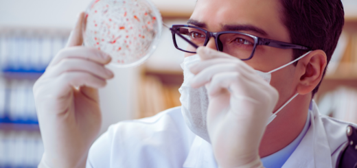 Naukowiec w laboratorium, ubrany w biały fartuch, maseczkę ochronną oraz rękawiczki lateksowe. Mężczyzna z powagą i skupieniem przygląda się szalce Petriego, w której znajdują się kolonie bakterii – widoczne jako czerwone punkty na przezroczystym podłożu. W tle widać regał z dokumentacją lub materiałami badawczymi, co podkreśla naukowy kontekst zdjęcia. Całość ujęcia sugeruje, że badacz prowadzi obserwację lub analizę mikroorganizmów, co może mieć związek z badaniami mikrobiologicznymi, testowaniem probiotyków lub oceną skuteczności antybiotyków.