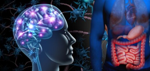 Ilustracja przedstawiająca połączenie mózgu i układu pokarmowego człowieka, symbolizujące oś jelito–mózg. Widoczny jest profil głowy z podświetlonym mózgiem oraz sylwetka ciała z zaznaczonymi jelitami i układem trawiennym.
